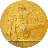 Prix du Ministre de la Guerre, Mdaille