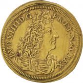Louis XIV, Jeton de Nuremberg, Jeton